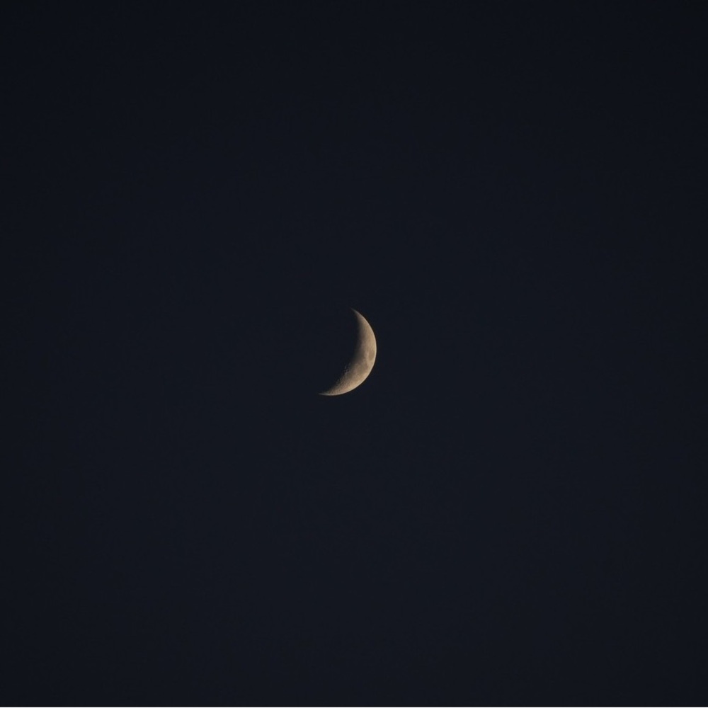 Meet your Posher, Megumi